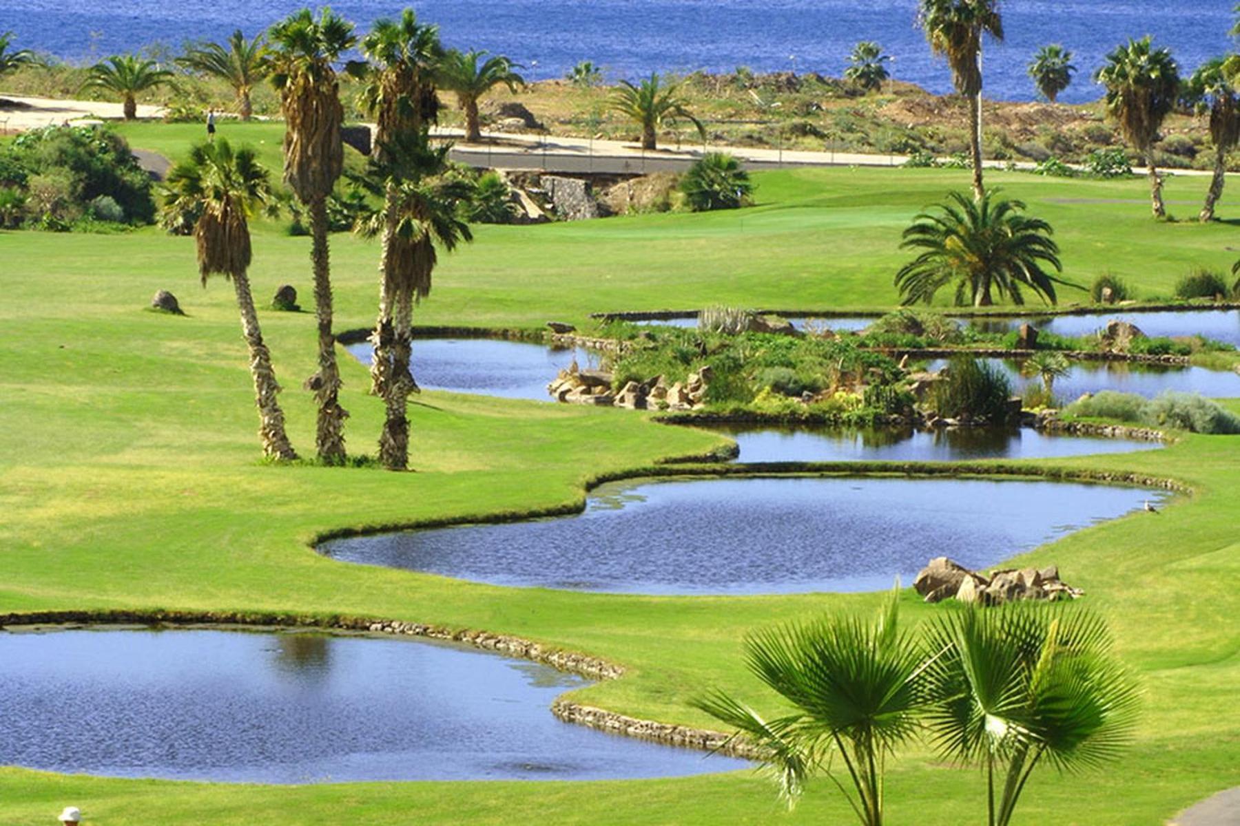 Tenerife Luxury Apartment Costa Adeje المظهر الخارجي الصورة